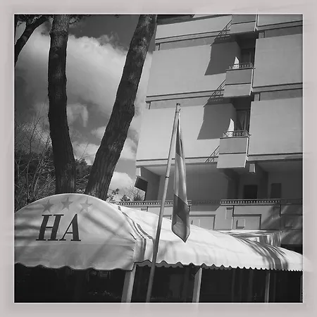 Hotel Airone 3*