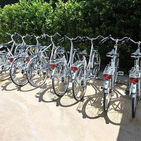 Airone Hotel Marina di Pietrasanta