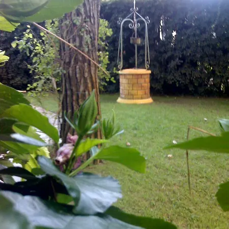 Airone Marina di Pietrasanta