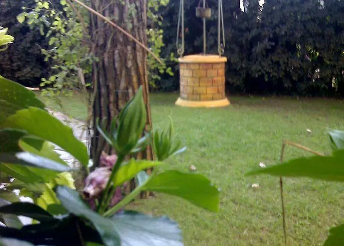 Airone Marina di Pietrasanta